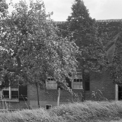 Rijksdienst voor het Cultureel Erfgoed: Schellekens, P.C.