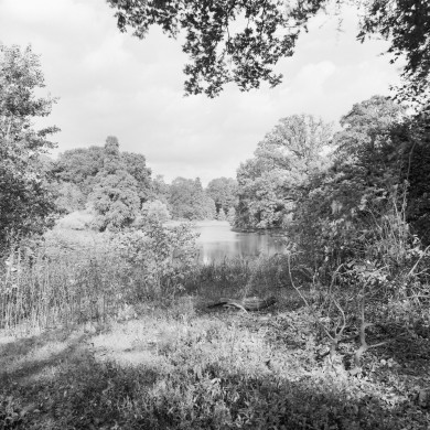 Rijksdienst voor het Cultureel Erfgoed: Galen, P. (Paul) van