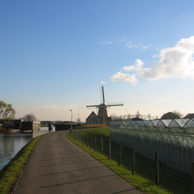 Rijksdienst voor het Cultureel Erfgoed: Terpstra, Frank