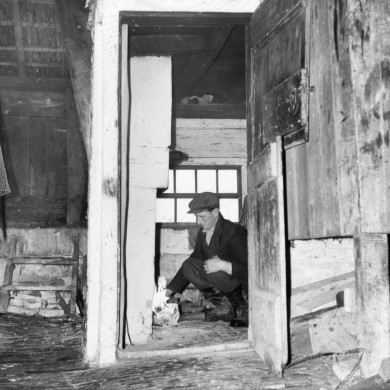 Rijksdienst voor het Cultureel Erfgoed