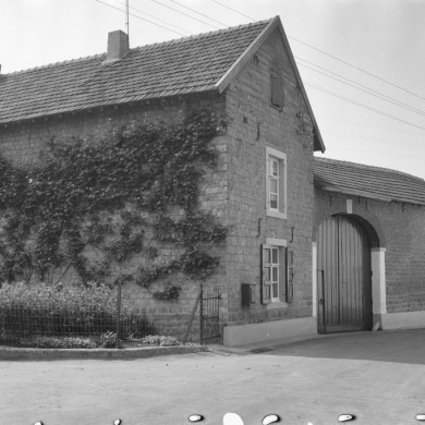 Rijksdienst voor het Cultureel Erfgoed: Delemarre, G.Th.