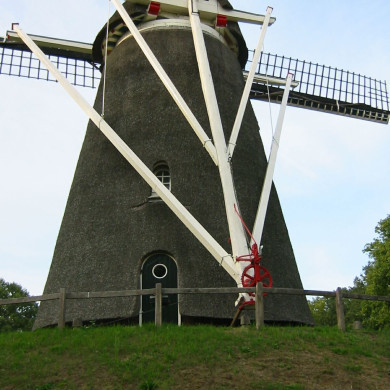 Rijksdienst voor het Cultureel Erfgoed: Terpstra, Frank