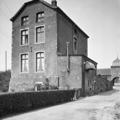 Rijksdienst voor het Cultureel Erfgoed: Delemarre, G.Th.