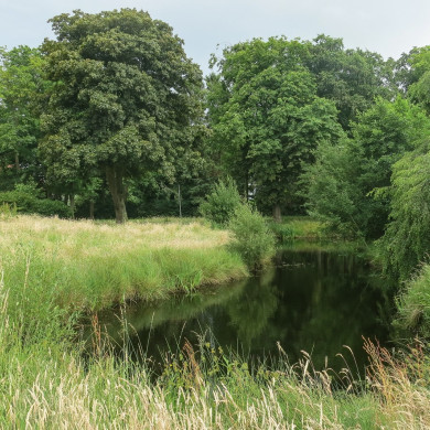 Rijksdienst voor het Cultureel Erfgoed: Brinkkemper, O. (Otto)