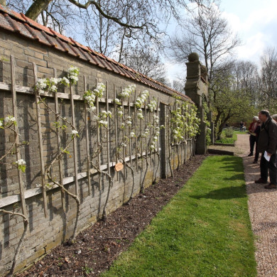 Rijksdienst voor het Cultureel Erfgoed: Bijlsma, Simon
