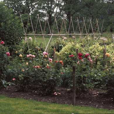 Rijksdienst voor het Cultureel Erfgoed: Heuff M. (Marijke)