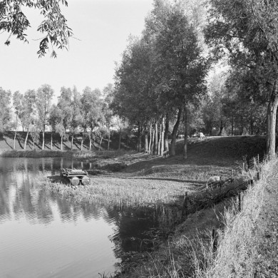 Rijksdienst voor het Cultureel Erfgoed: Tangel, L.M.