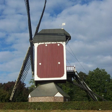 Rijksdienst voor het Cultureel Erfgoed: Terpstra, Frank