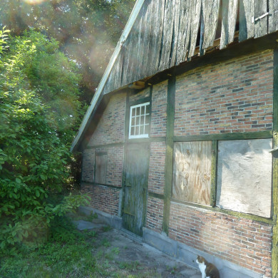 Rijksdienst voor het Cultureel Erfgoed: Wal, Henry van der