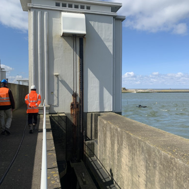 Rijksdienst voor het Cultureel Erfgoed: Bogers, Guido