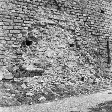 Rijksdienst voor het Cultureel Erfgoed: Delemarre, G.Th.