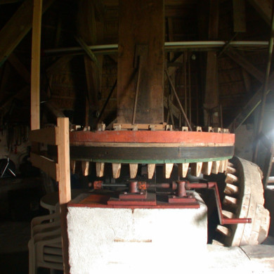 Rijksdienst voor het Cultureel Erfgoed: Terpstra, Frank