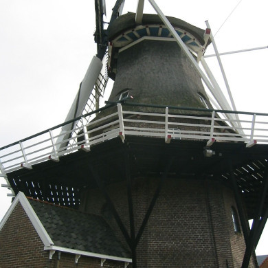 Rijksdienst voor het Cultureel Erfgoed: Terpstra, Frank