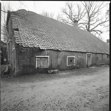 Rijksdienst voor het Cultureel Erfgoed: Heins, IJ.Th.