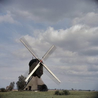 Rijksdienst voor het Cultureel Erfgoed