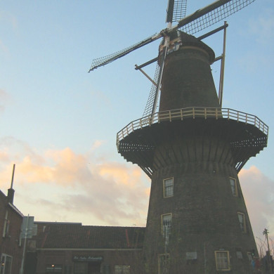 Rijksdienst voor het Cultureel Erfgoed: Terpstra, Frank