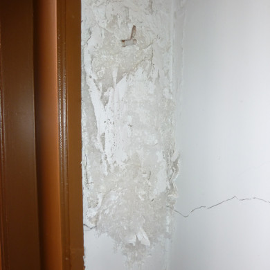 Rijksdienst voor het Cultureel Erfgoed: Bogers, Guido