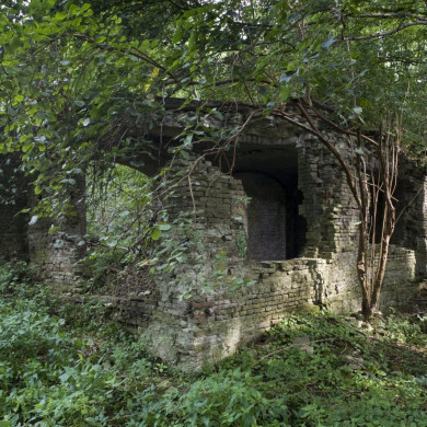 Rijksdienst voor het Cultureel Erfgoed: Booms, C.S. (Chris)