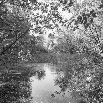 Rijksdienst voor het Cultureel Erfgoed: Koning, de-Koning, J.P. de