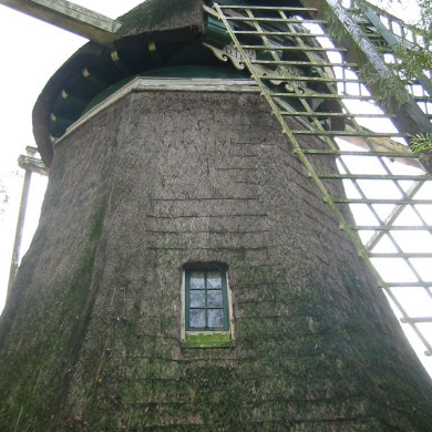 Rijksdienst voor het Cultureel Erfgoed: Terpstra, Frank