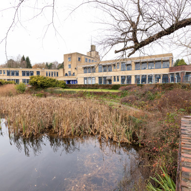 Rijksdienst voor het Cultureel Erfgoed: Sekuur, Mark