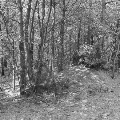 Rijksdienst voor het Cultureel Erfgoed: Galen, P. (Paul) van