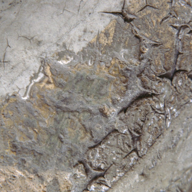 Rijksdienst voor het Cultureel Erfgoed: Dukker, G.J.