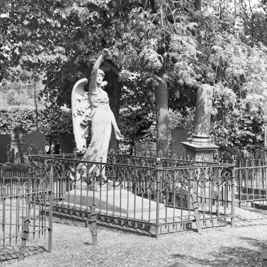 Rijksdienst voor het Cultureel Erfgoed: Galen, P. (Paul) van