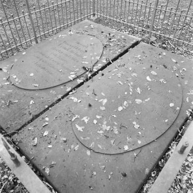 Rijksdienst voor het Cultureel Erfgoed: Wal, A.J. van der