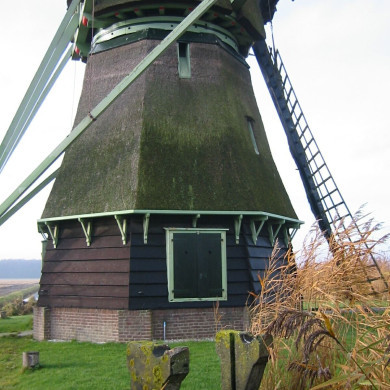Rijksdienst voor het Cultureel Erfgoed: Terpstra, Frank