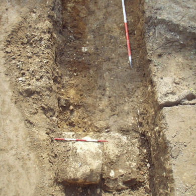 Rijksdienst voor het Cultureel Erfgoed