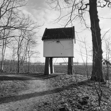 Rijksdienst voor het Cultureel Erfgoed: Wal, A.J. van der