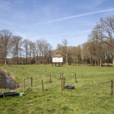 Rijksdienst voor het Cultureel Erfgoed: Sar, Wouter van der