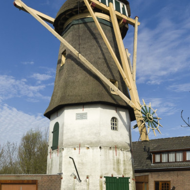 Rijksdienst voor het Cultureel Erfgoed: Galen, Jan van