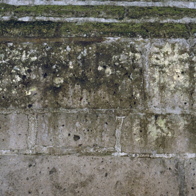 Rijksdienst voor het Cultureel Erfgoed: Koning, J.P. de-Koning, de