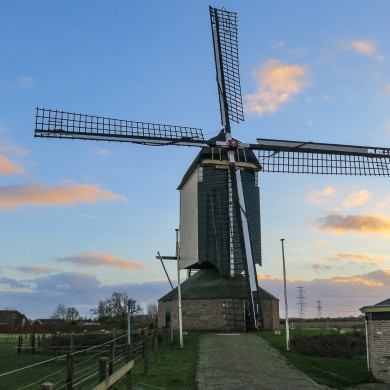 Rijksdienst voor het Cultureel Erfgoed