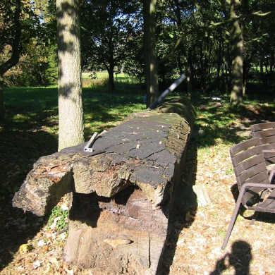 Rijksdienst voor het Cultureel Erfgoed: Terpstra, Frank