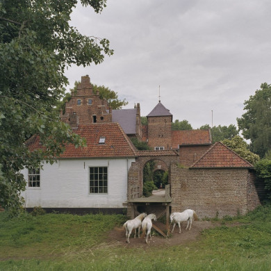 Rijksdienst voor het Cultureel Erfgoed: Wal, A.J. van der