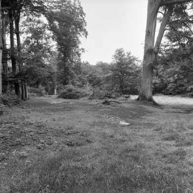 Rijksdienst voor het Cultureel Erfgoed: Wal, A.J. van der