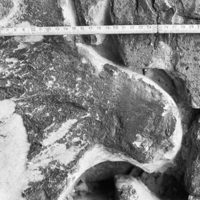 Rijksdienst voor het Cultureel Erfgoed: Wit, de