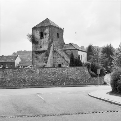 Rijksdienst voor het Cultureel Erfgoed: Galen, P. van