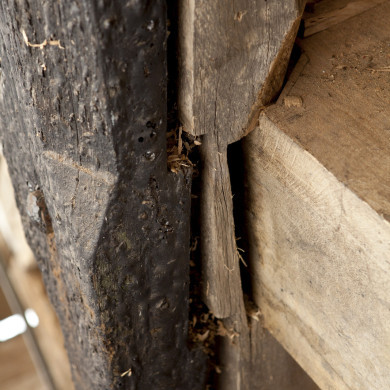 Rijksdienst voor het Cultureel Erfgoed: Roderburg, K. (Kris)