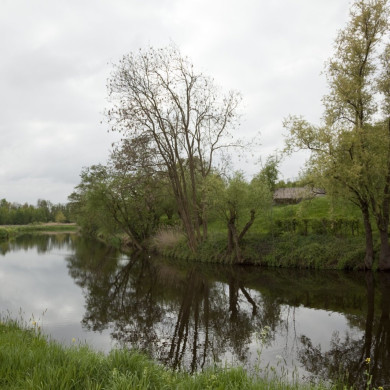 Rijksdienst voor het Cultureel Erfgoed