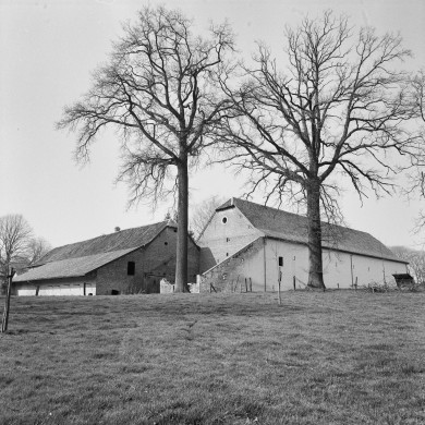 Rijksdienst voor het Cultureel Erfgoed: Galen, P. van
