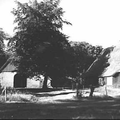 Rijksdienst voor het Cultureel Erfgoed: Jong, L. de