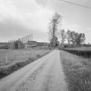Rijksdienst voor het Cultureel Erfgoed: Galen, P. van