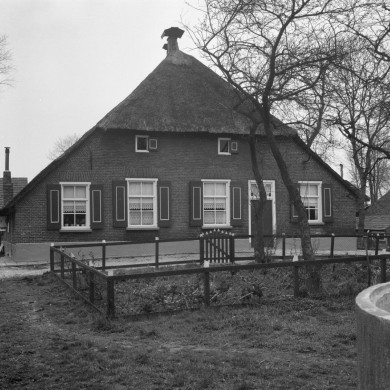 Rijksdienst voor het Cultureel Erfgoed: Delemarre, G.Th.