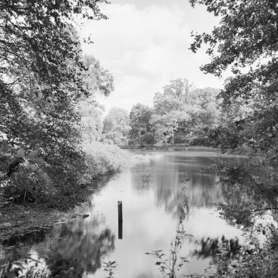 Rijksdienst voor het Cultureel Erfgoed: Galen, P. (Paul) van