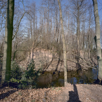 Rijksdienst voor het Cultureel Erfgoed: Heins, IJ.Th.