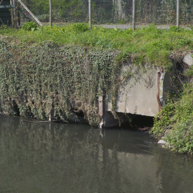 Rijksdienst voor het Cultureel Erfgoed: Booms, C.S. (Chris)